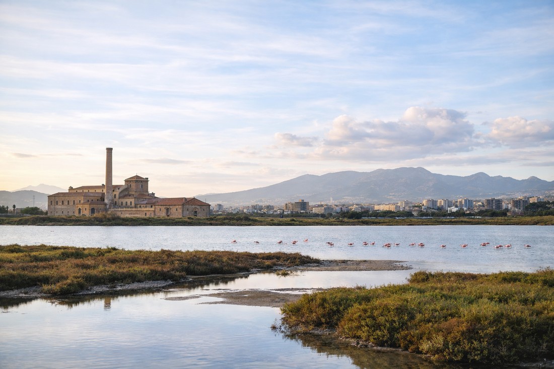 Parco di Molentargius: il piano che trasforma ambiente e sviluppo urbano