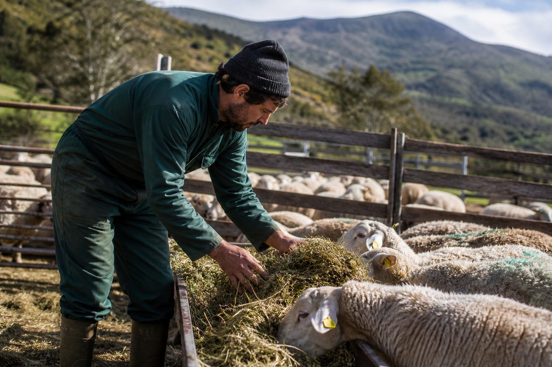 Agricoltura in Sardegna, tra aiuti e crisi: un sistema che fatica a reggere